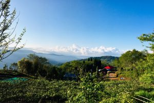 chintapu sandakpur homestay