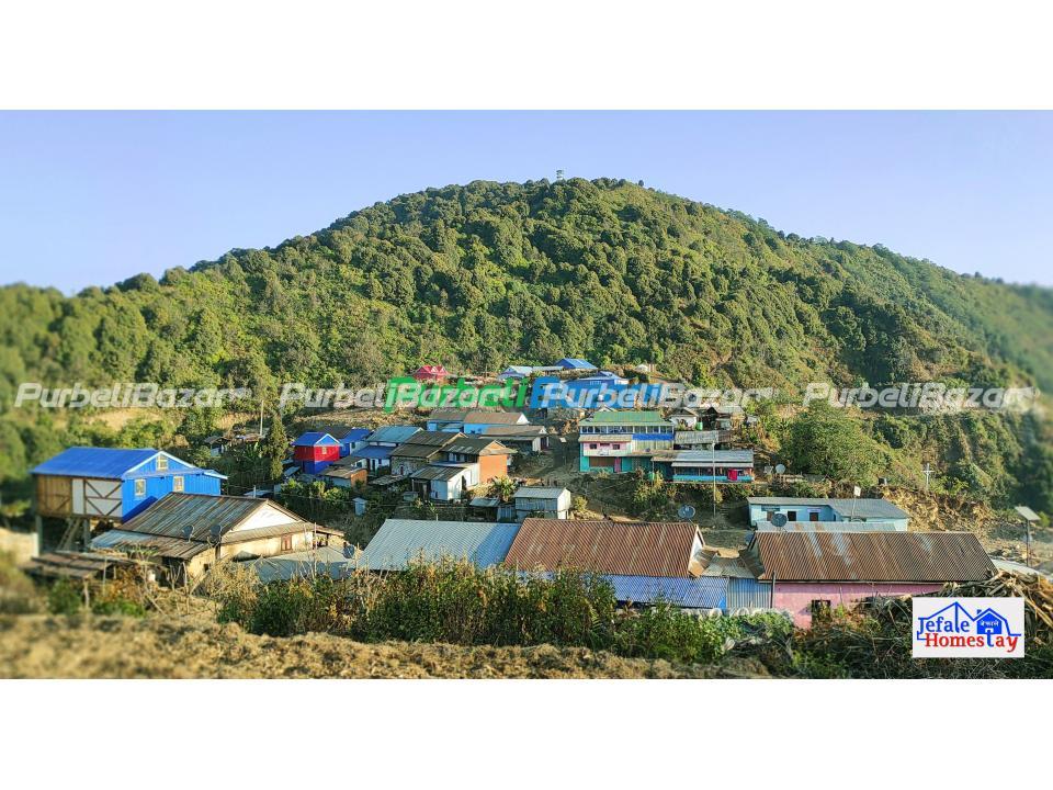 Homestay at Jefale, Morang- 9811355507 (Jefale Homestay)