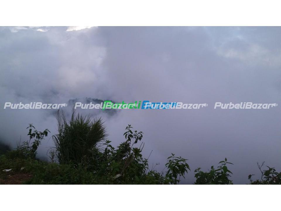 Homestay at Jefale, Morang- 9811355507 (Jefale Homestay)