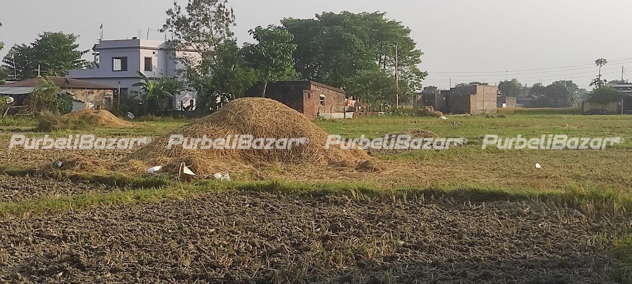 10 Dhur Land for Sale at Biratnagar-12 - Purbeli Bazar