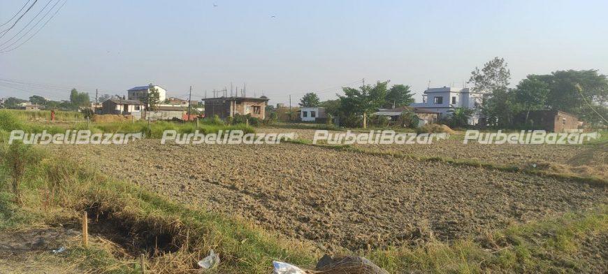 10 Dhur Land for Sale at Biratnagar-12