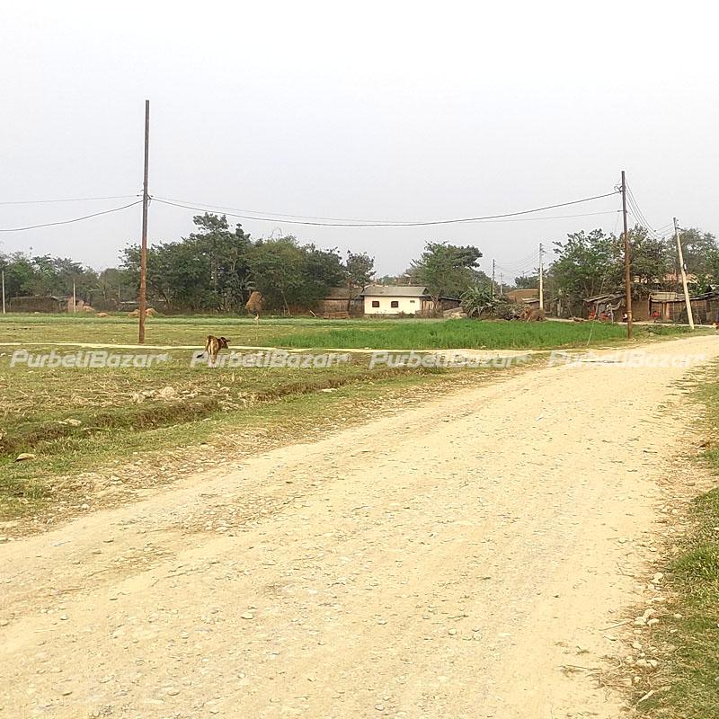 Residential Land for Sale at Biratnagar-19
