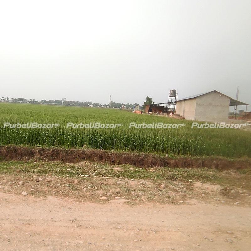 Residential Land for Sale at Biratnagar-19