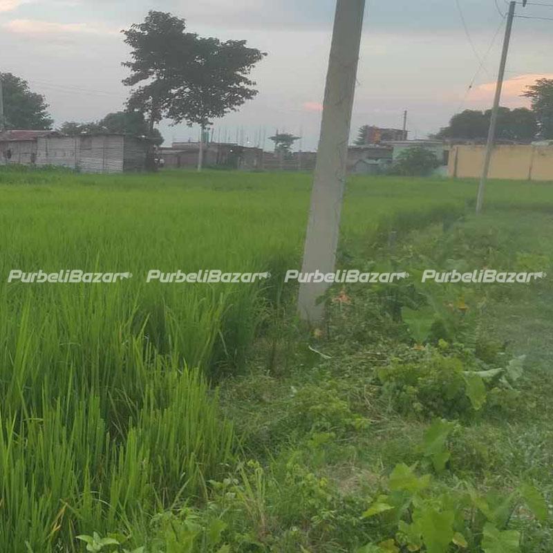 Residential Land for Sale at Biratnagar-19