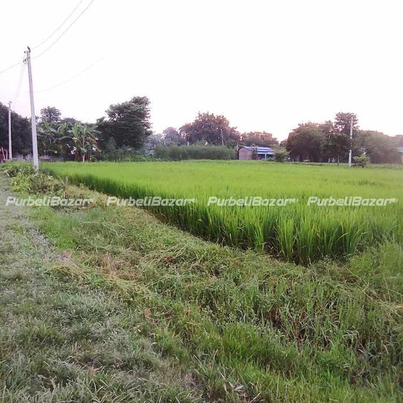 Residential Land for Sale at Biratnagar-19